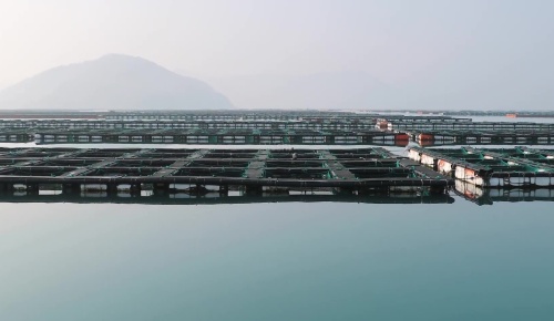 南藝UPVC管材在海水漁業(yè)領(lǐng)域應(yīng)用價值